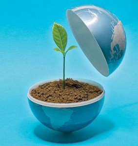 Quanto tempo na natureza?